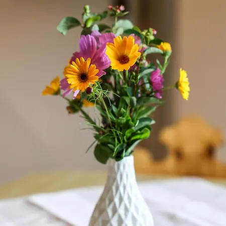 Brenner Hollersbach im Pinzgau